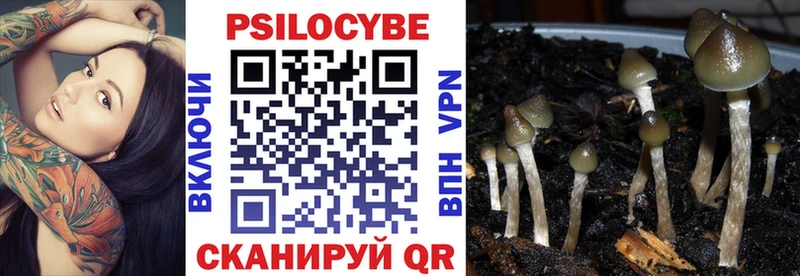 Псилоцибиновые грибы MAGIC MUSHROOMS  Новопавловск 