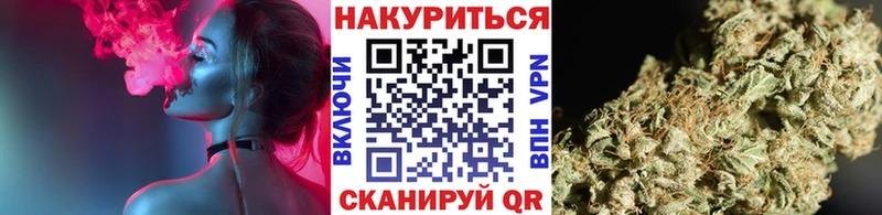 МАРИХУАНА сатива  наркошоп  Новопавловск 